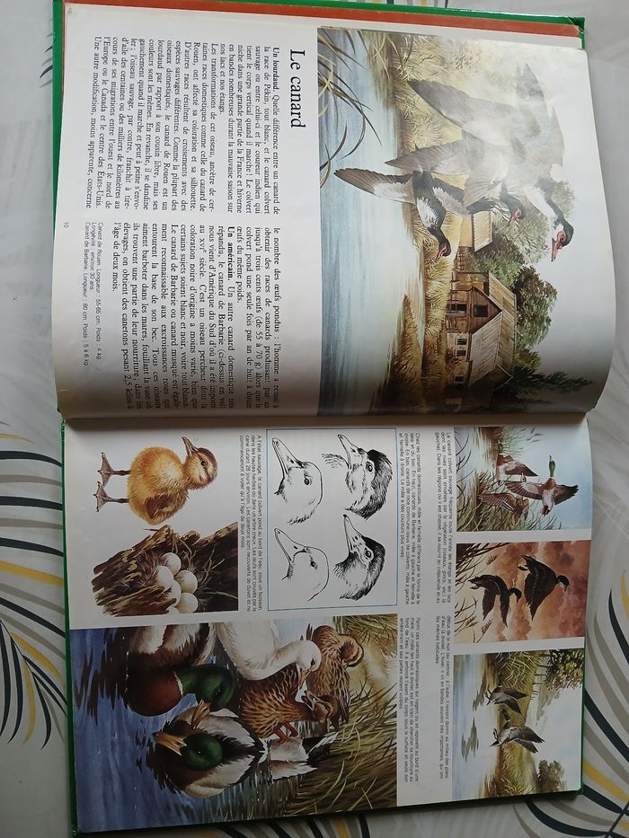 Livre A la ferme - photo numéro 4