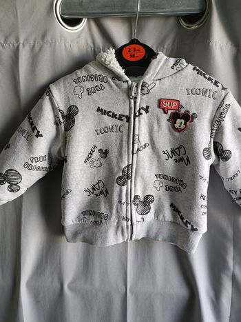 Veste chaude mickey 18m