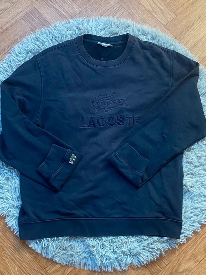 Pull ras de cou Lacoste / Bleu marine / Taille L
