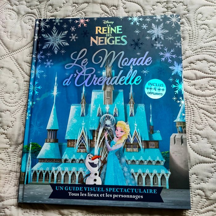 Livre reine des neiges