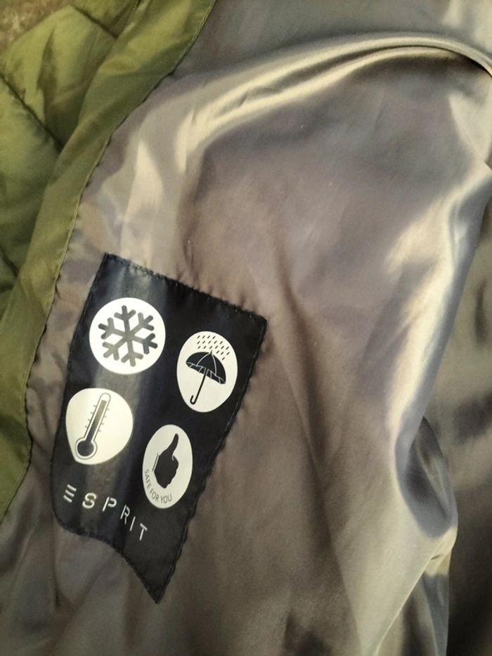 Blouson kaki 14ans Esprit - photo numéro 16