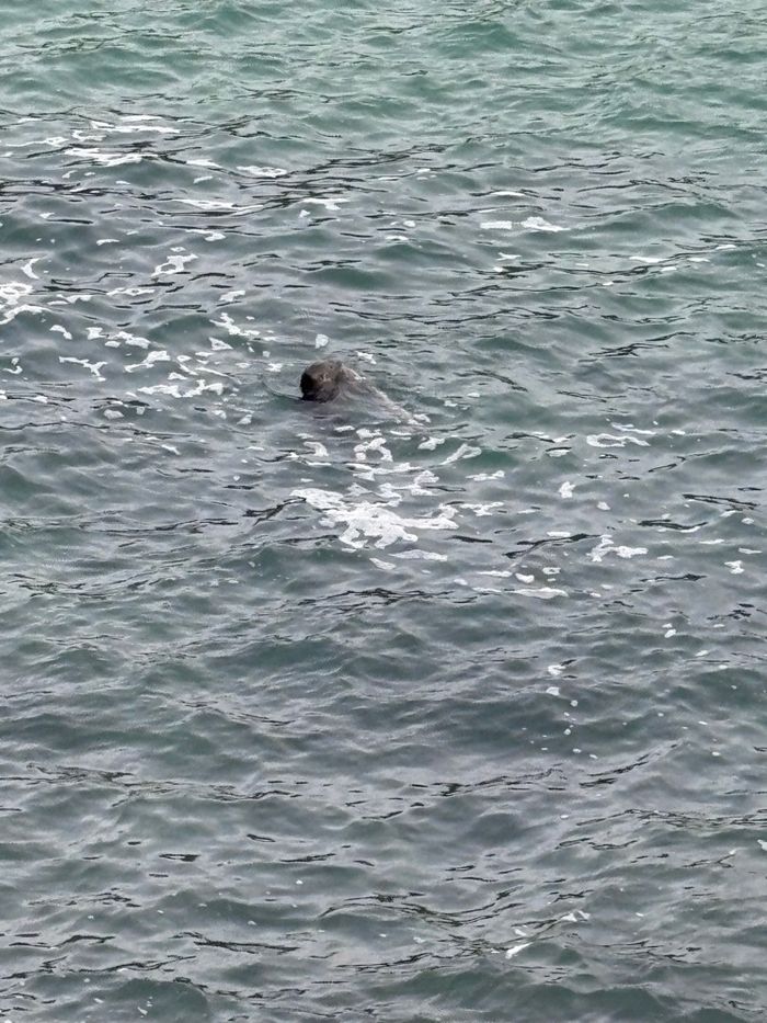 Ciré réversible - photo numéro 3