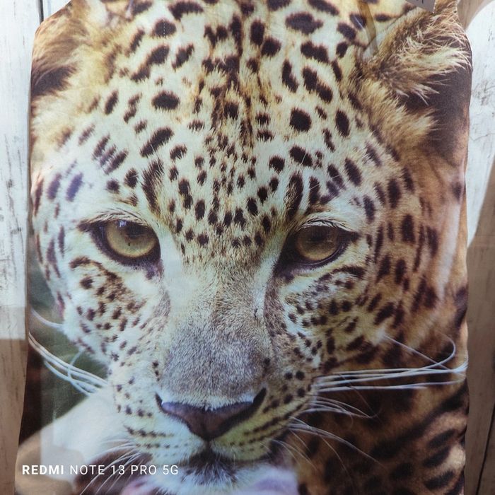 Robe réf EF41 - photo numéro 2