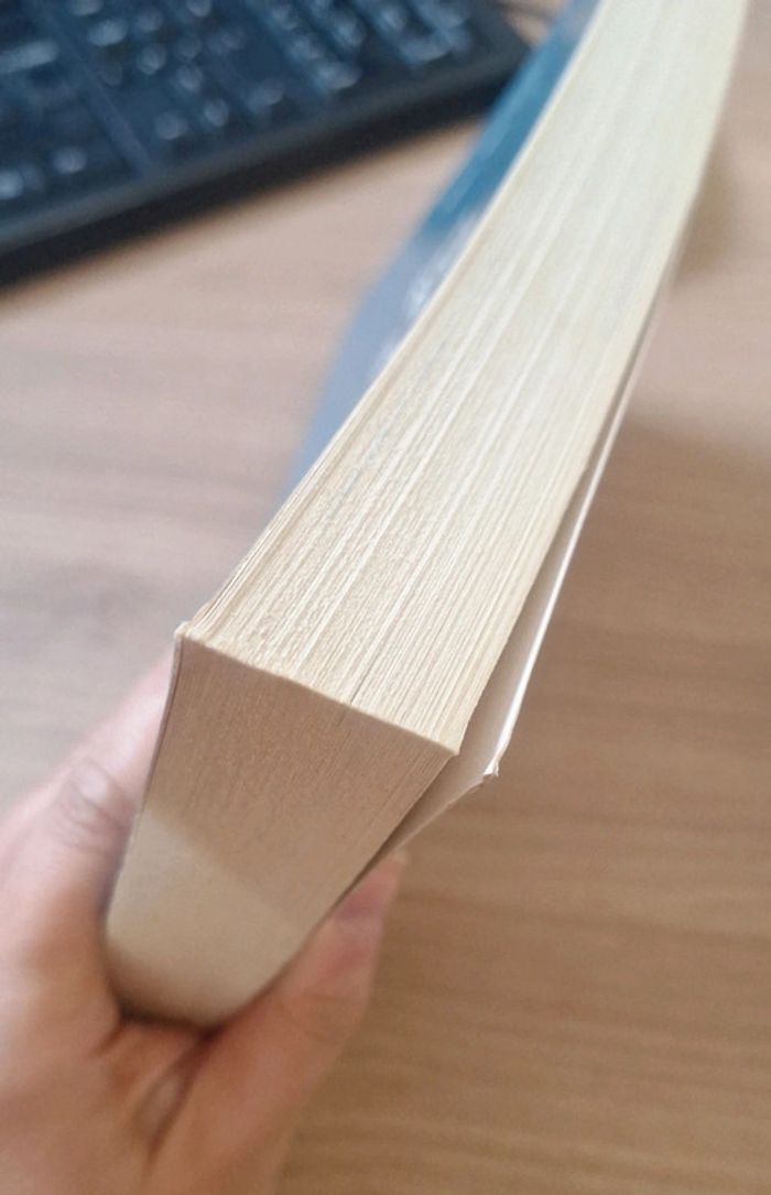 johan turi recit de la vie des lapons edition harmattan pl - photo numéro 2