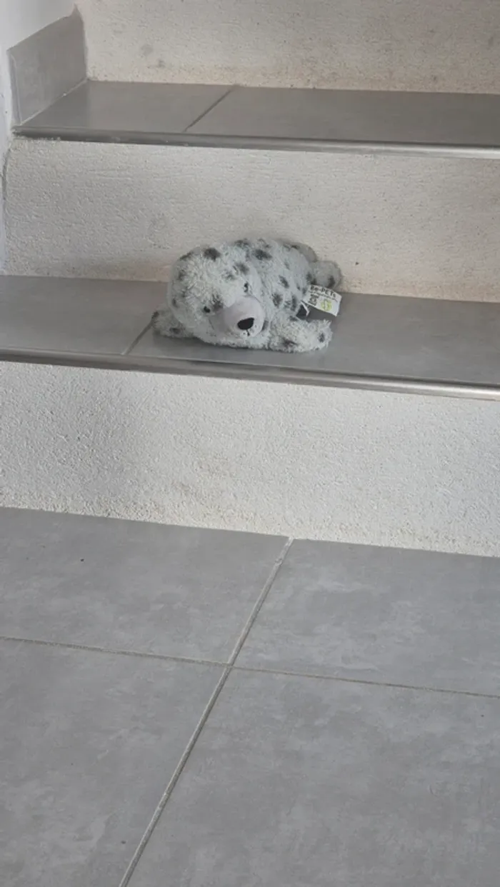Peluches enfant - photo numéro 7