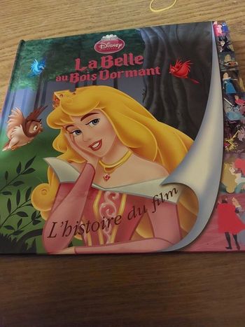 Livre pour enfant la belle au bois dormant 