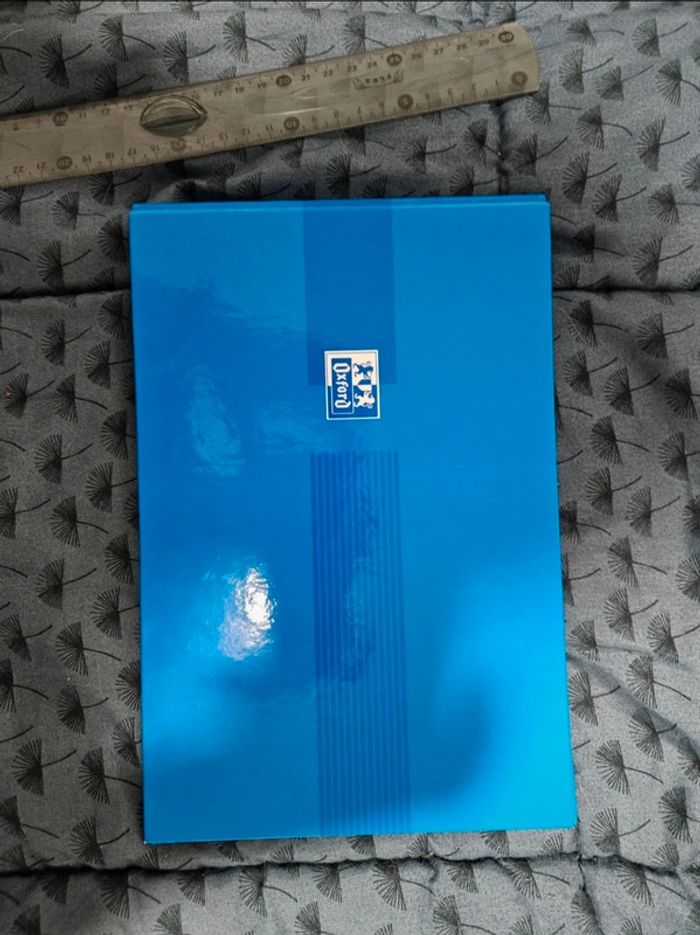 Classeur bleu et ses quelques feuilles oxford