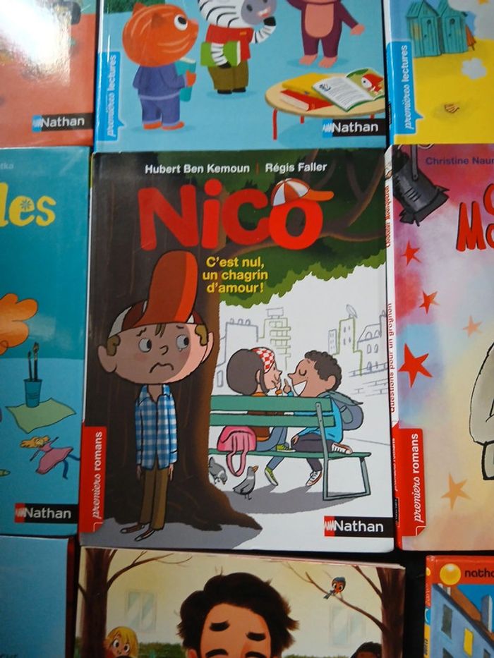 Livres apprentissage lecture - photo numéro 9