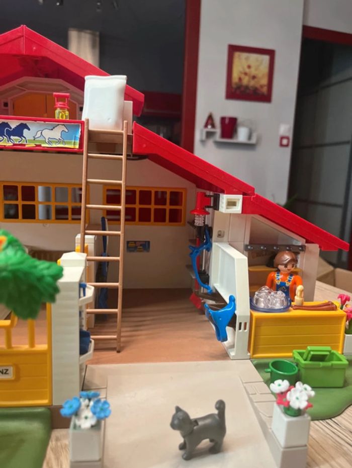 Lot - prix sur tous les éléments équitation - photo numéro 5