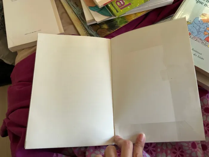 Livre Le fantôme et moi de Catherine sefton - photo numéro 4