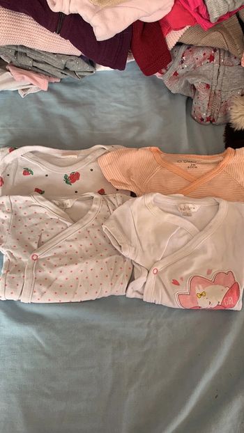 Lot 5 bodies manches courtes