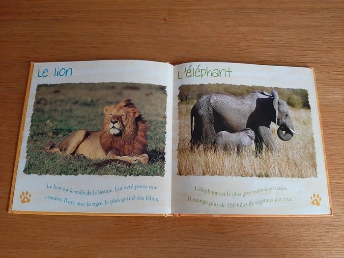Livre Les animaux de la savane - photo numéro 4