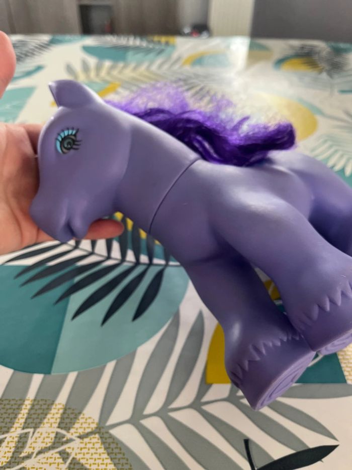 Grand poney - photo numéro 6