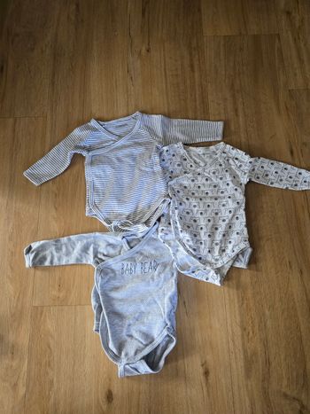 Bodies