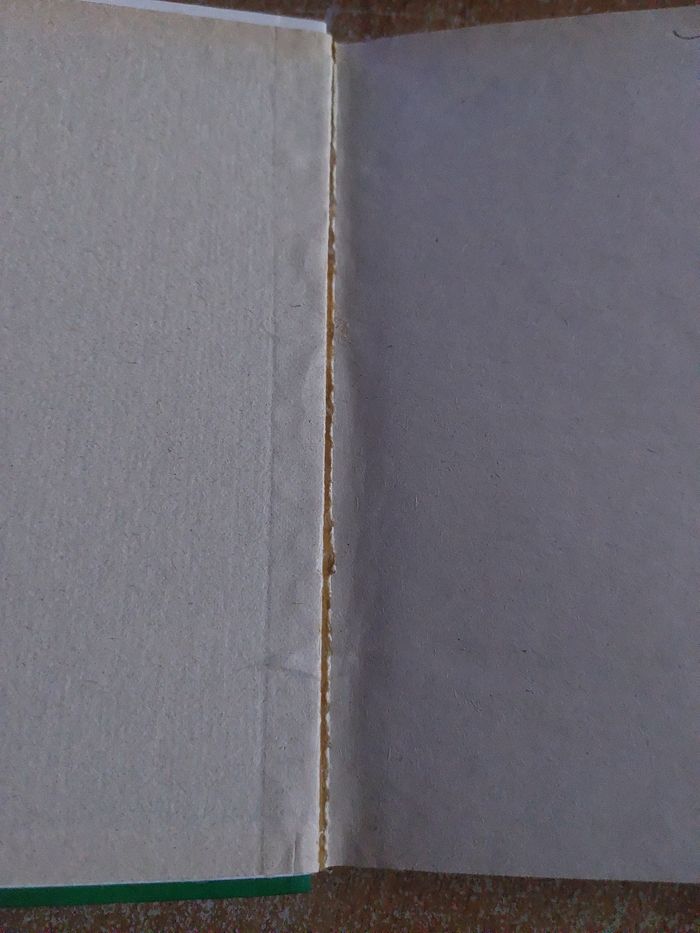 Livre la belle et le clochard - photo numéro 2