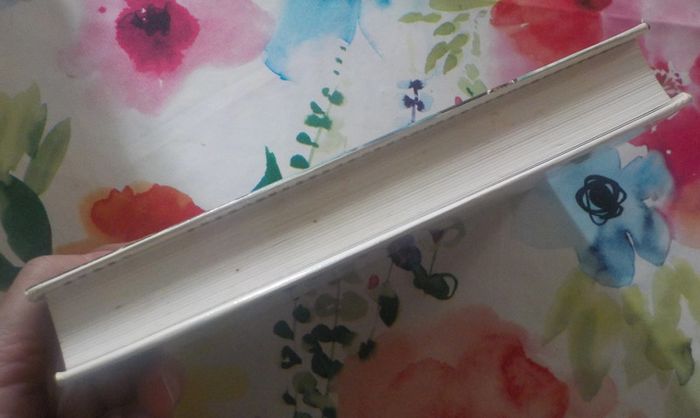 La rivière Espérance T1 de Christian Signol Ed. France Loisirs - photo numéro 4