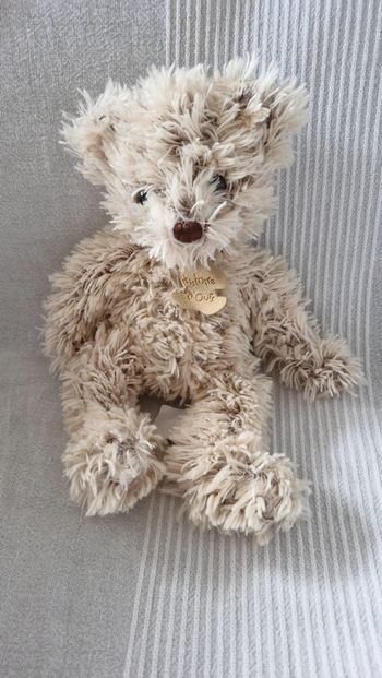 Ourson beige  histoire d ours