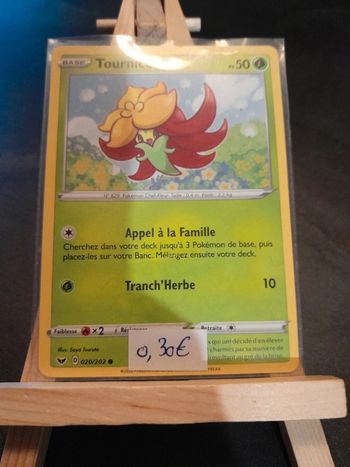 Carte Pokémon Tournicoton 20/202