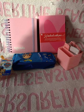 Lot papeterie enfant agenda 2025-2026 + carnet + trousse Pat Patrouille + organiseur – neuf