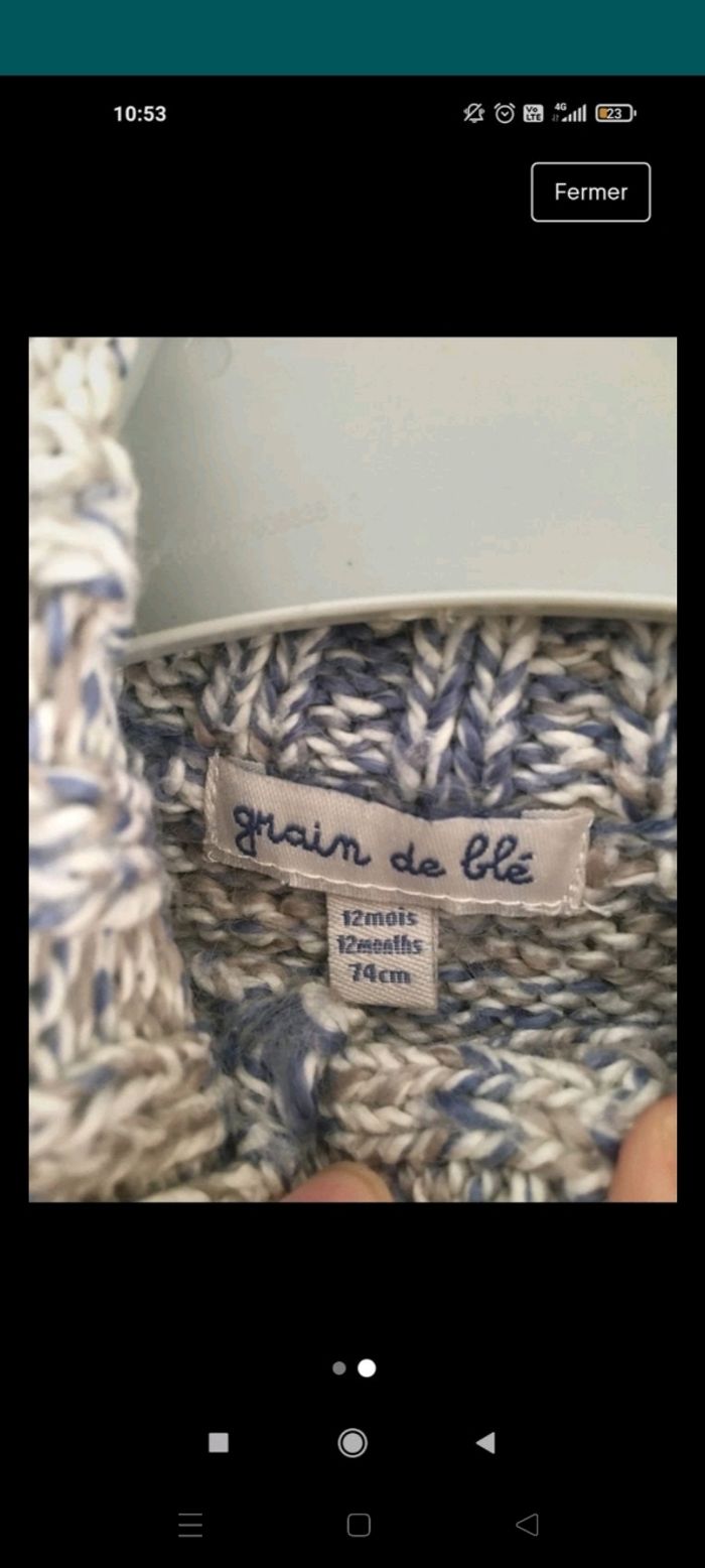 Pull grain de blé en 12 mois - photo numéro 2