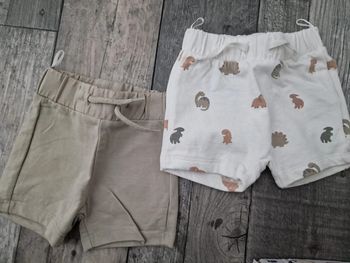 Lot de 2 shorts dinosaure