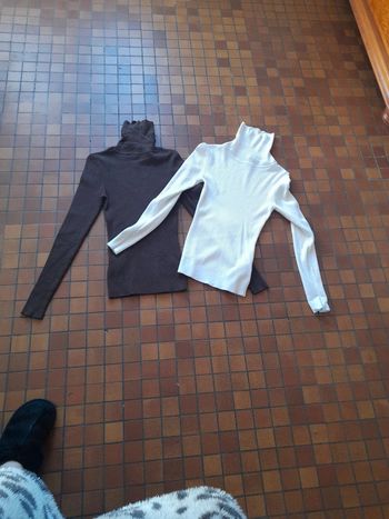 2 pulls col montant