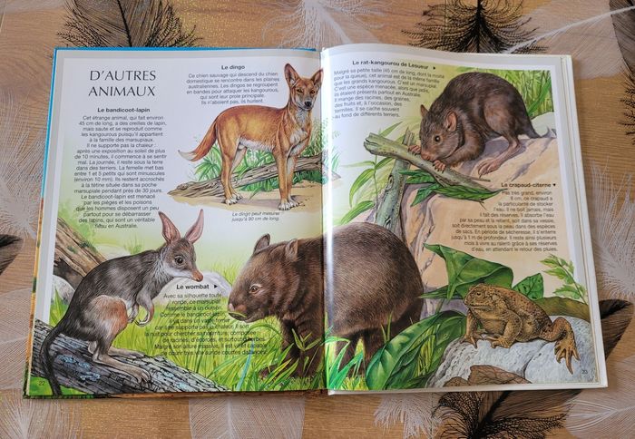 Les Animaux d'Australie Emilie Beaumont, Mia-Betti Ferrero - photo numéro 6