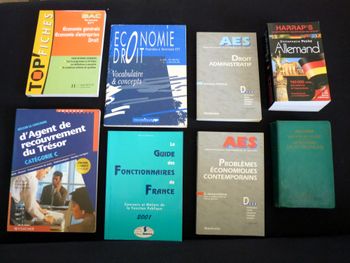 Lot livres scolaires droit AES Allemand latin preparation concours TBE