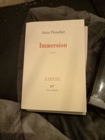 Livre Alain fleischer