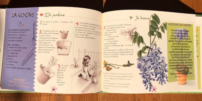 Jardin de senteurs - éditions Le Sablier - photo numéro 3