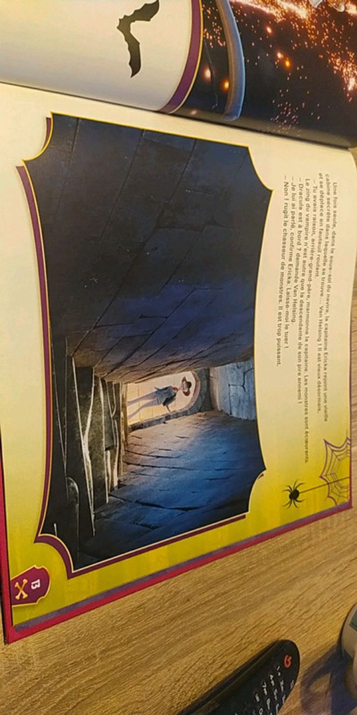 Livre Hôtel Transylvanie 3 - photo numéro 4