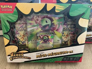 Pokémon coffret mega meganium ex