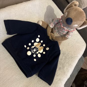 Pull polaire