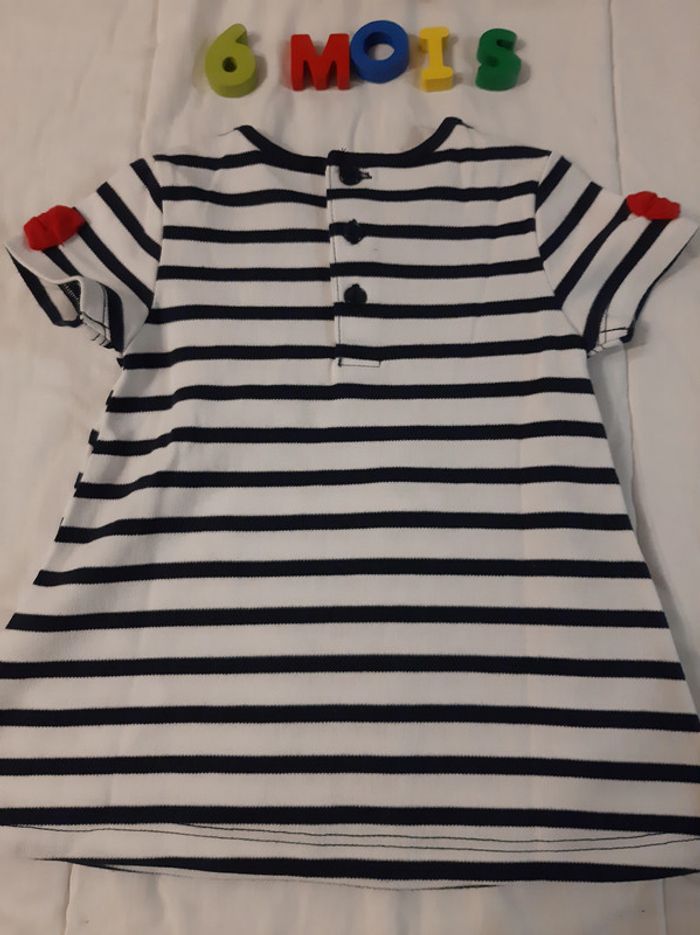 Robe rayée chat - photo numéro 2