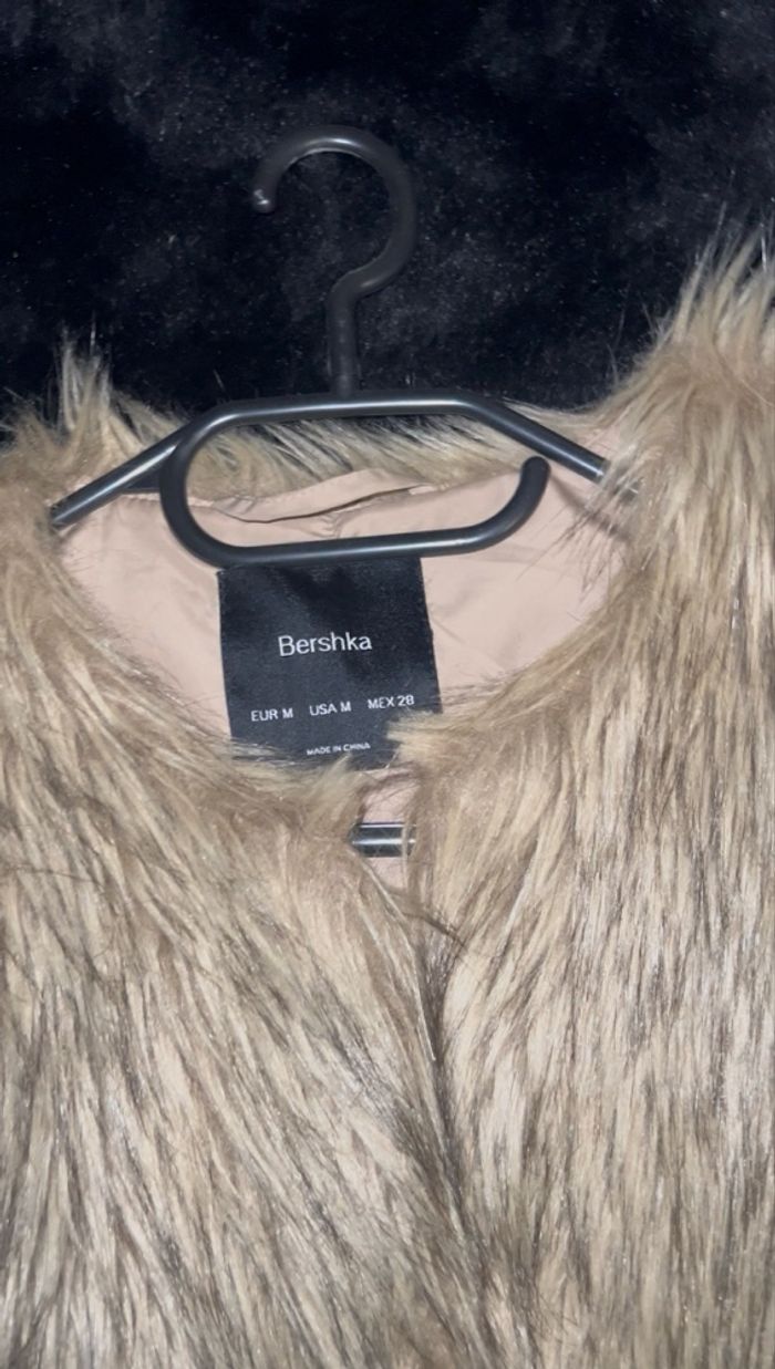 fourrure - photo numéro 3