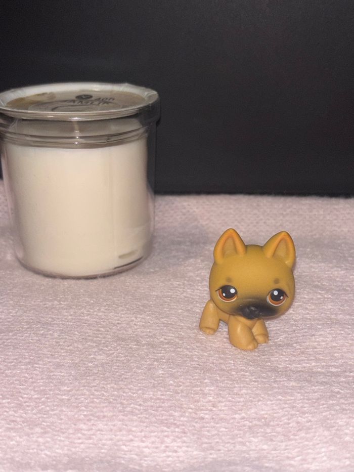 german shepherd #61 - photo numéro 2