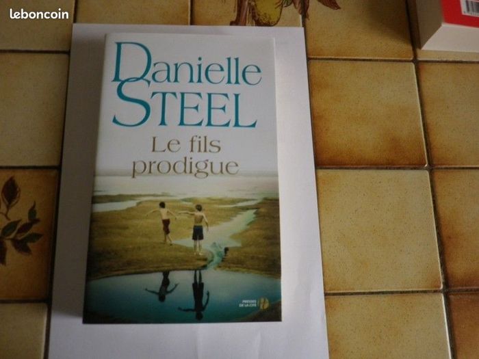 Livre Le Fils prodigue – Danielle Steel - grand format (roman broché) - photo numéro 2