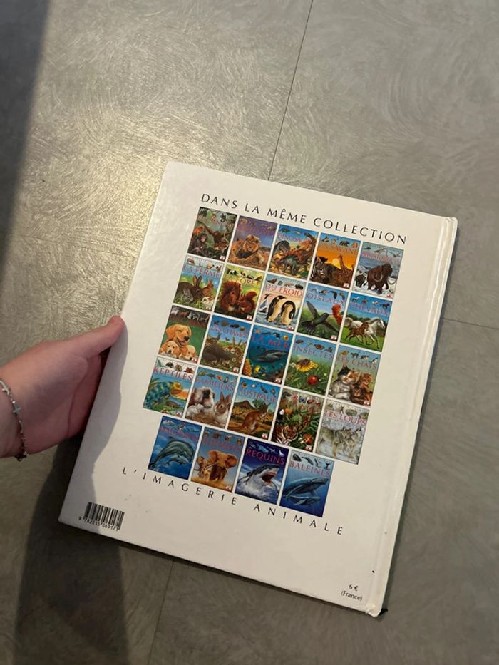 L’imagerie des chevaux - photo numéro 3