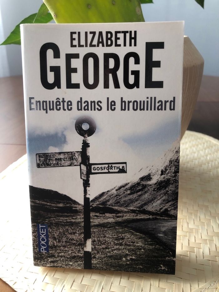 Enquête dans le brouillard - Elizabeth George