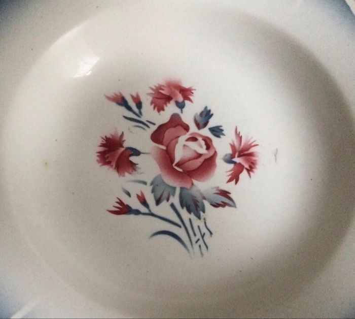 4  assiettes creuses digoin sarreguemines  France collection Nina rosa - photo numéro 5