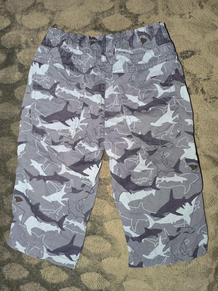 Pantacourt - photo numéro 2