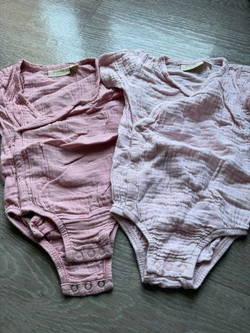 Lot bodies 