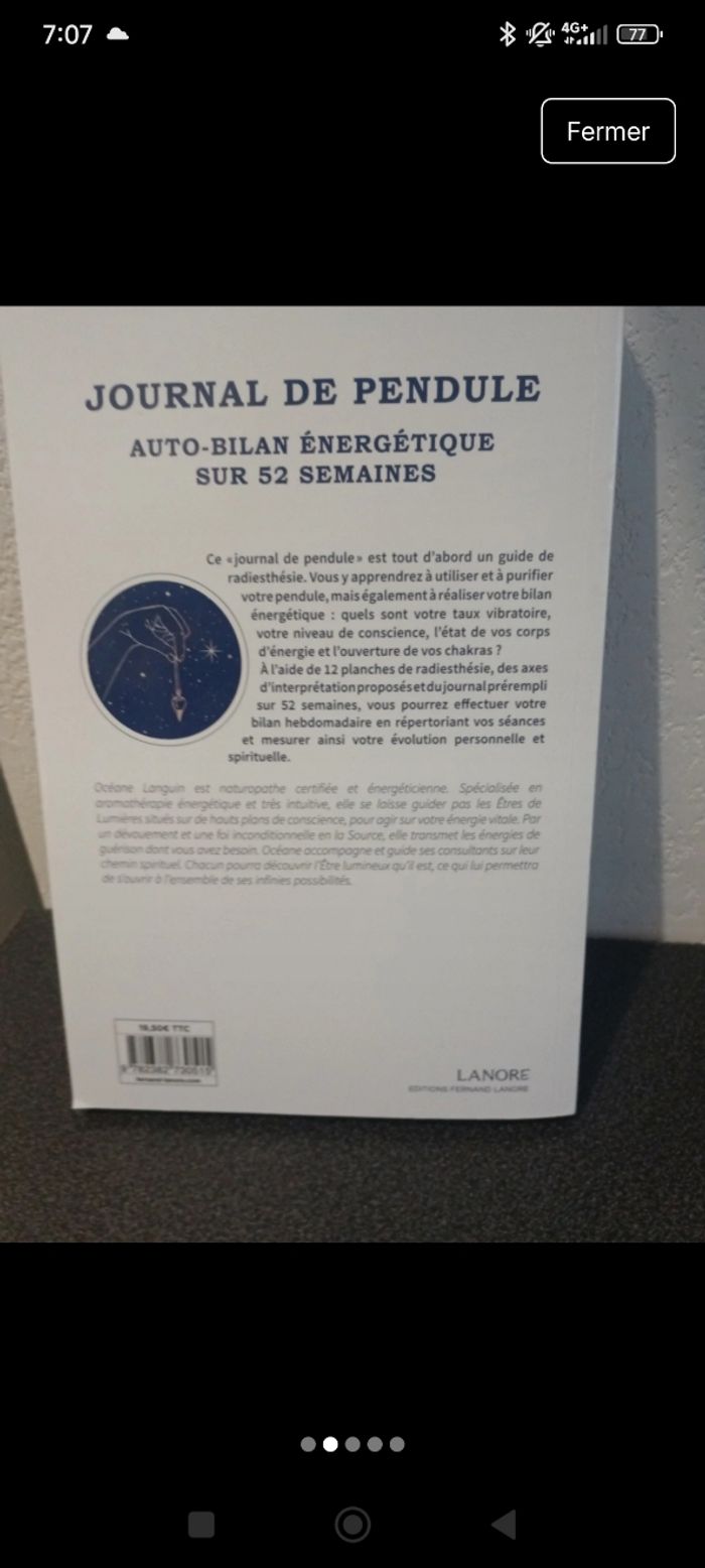 Journal de pendule - auto-bilan énergétique - photo numéro 2