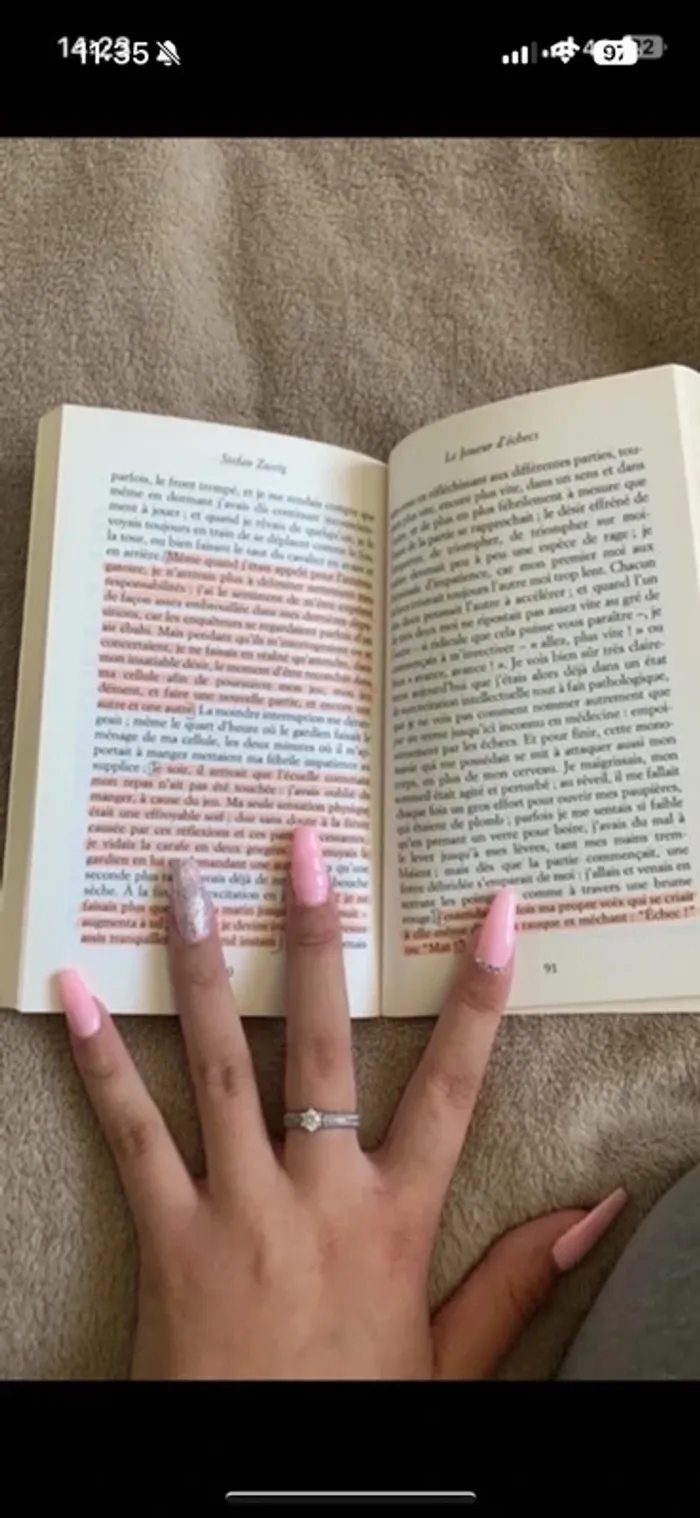 Le joueur d’échecs livre - photo numéro 3