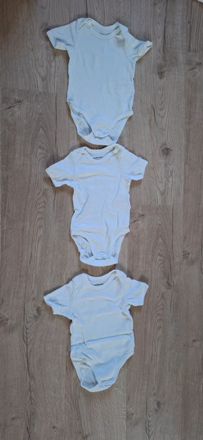 Lot 3 bodies MC 9mois TBE Vert Baudet