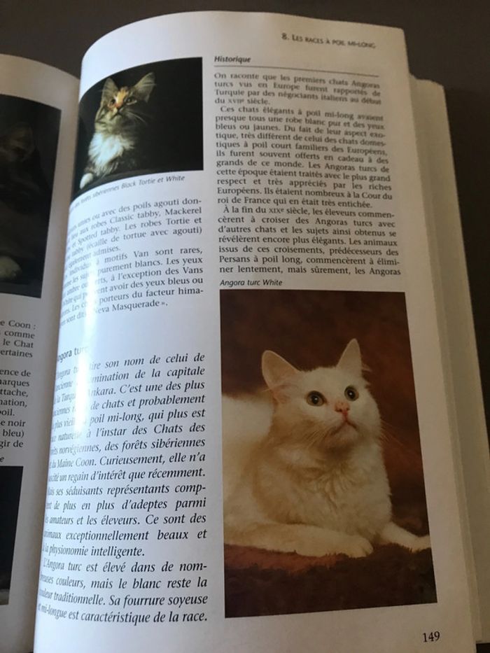 Livre L’univers des Chats - photo numéro 5