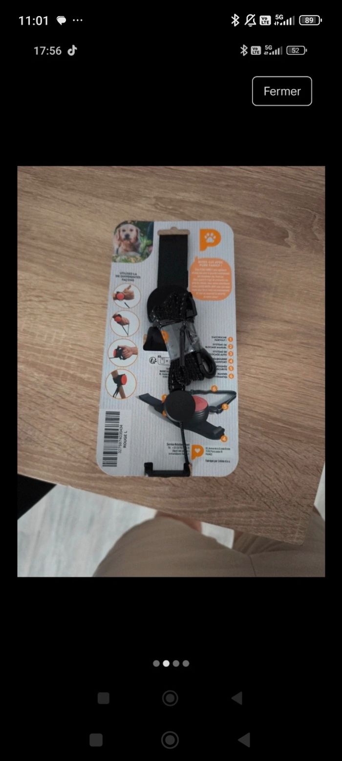 Laisse pour gros chien - photo numéro 2