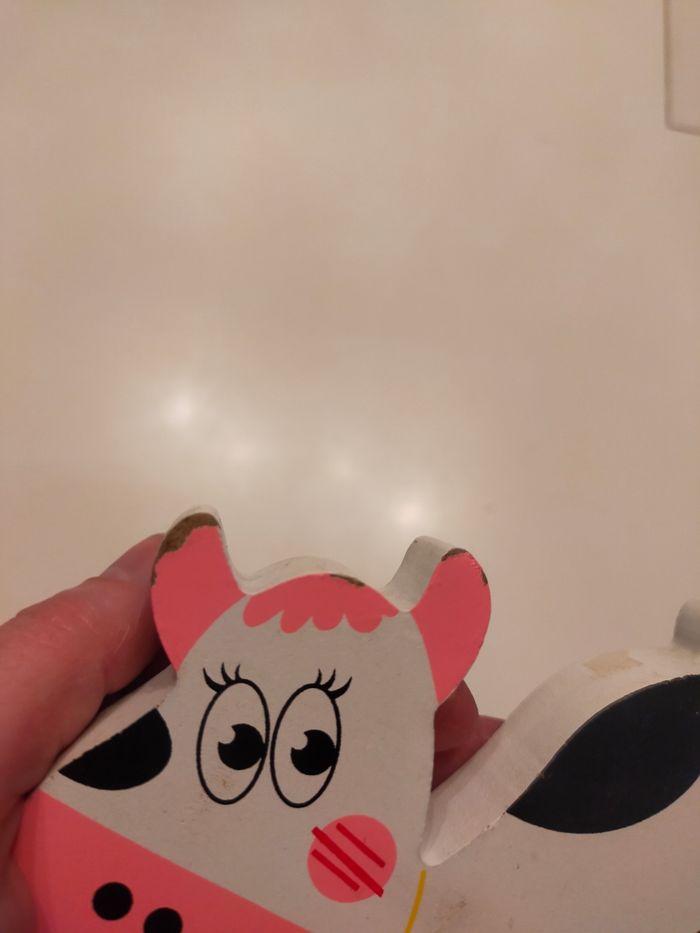 Vache a tiré - photo numéro 3