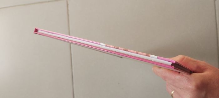 Les sisters BD Tome 1 Un air de famille - photo numéro 5