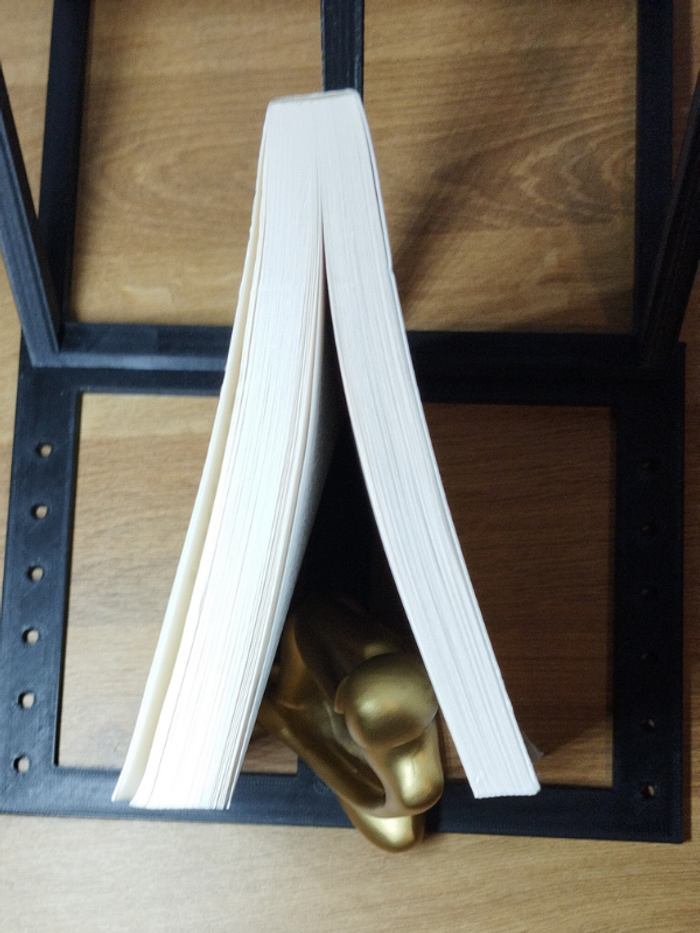 Livre Philosophique La raison gourmande de Michel Onfray - photo numéro 6